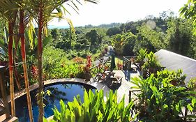 Nanga Damai Homestay