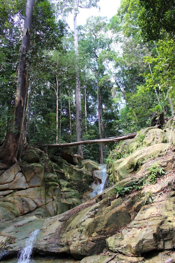 Nanga Damai Homestay Santubong Buitenkant foto